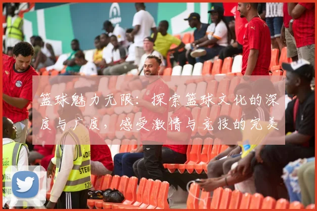 篮球魅力无限：探索篮球文化的深度与广度，感受激情与竞技的完美融合