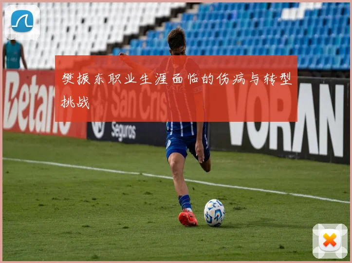 樊振东职业生涯面临的伤病与转型挑战