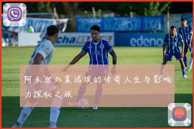阿米尔加莱诺埃的传奇人生与影响力探秘之旅